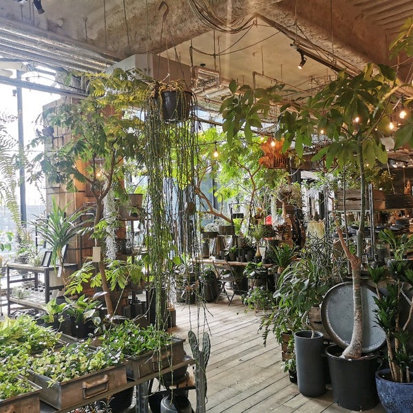 Photos At Garage Living With Plants Nagoya 黄金区 名古屋市 愛知県