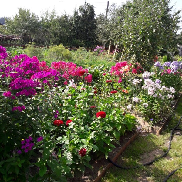 ландшафт в восточном стиле. краснодар восточный сад управляющая. ук восточный сад краснодар. эко сад хутор восточный. сад в восточном стиле.