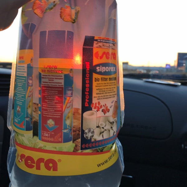 Horta Tuincentrum Plettinckx Bornem Bornem Antwerpen