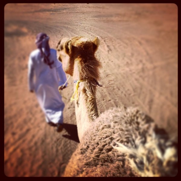 Photo taken at Desert Nights Camp Al Wasil by Ben A. on 3/23/2013