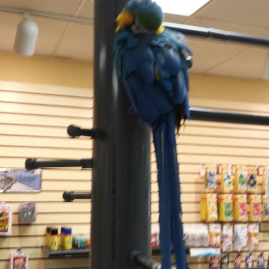 Mermaid Car Wash (Now Closed) Automotive Repair Shop in Madison