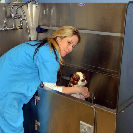 Photo taken at Animal Hospital of the Rockaways by Animal Hospital of the Rockaways on 12/17/2014