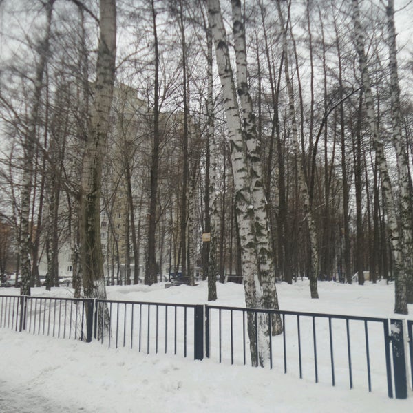 419 мытищи нииох. 419 мытищи нииох