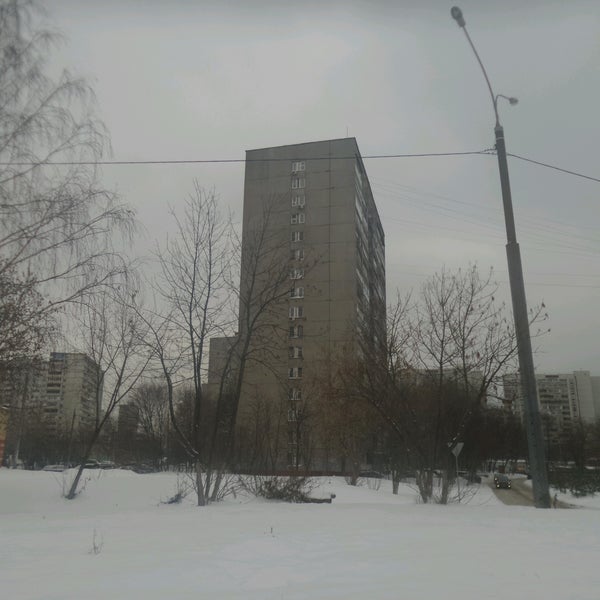 Октябрьский бульвар дом 41 королев. Б-р королева 13 тольятти. Бульвар королева 1. Бульвар королева 1. Бульвар королева тольятти.