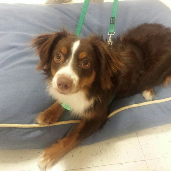 PetSmart Pet Supplies Store in Metairie