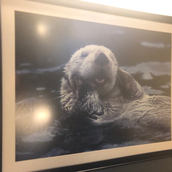 Foto scattata a OtterBox - HQ da Cosmo C. il 12/3/2018