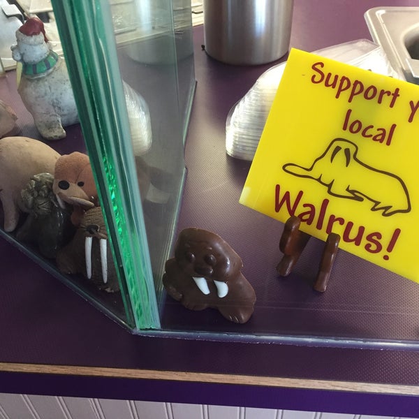Photos at Walrus Ice Cream Downtown Fort Collins 125 W Mountain Ave