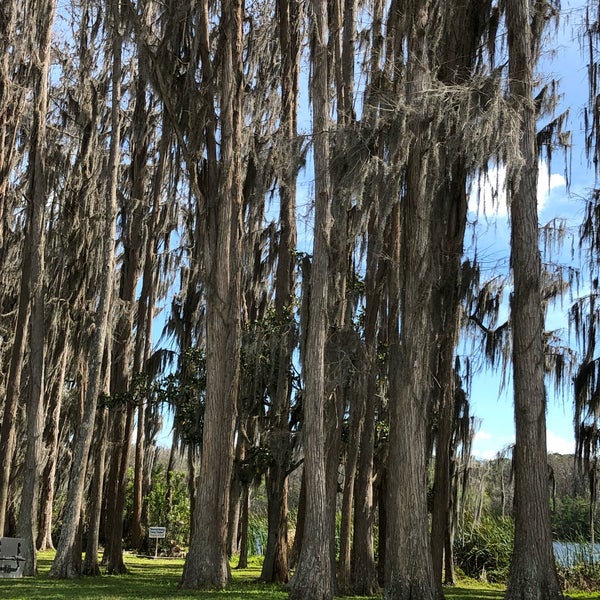 Lake Como Resort Lutz, FL