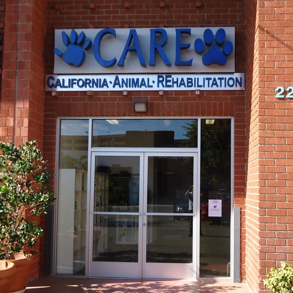 California Animal Rehabilitation Veterinarian in West Los Angeles