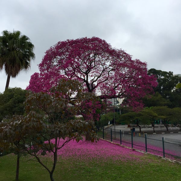 Photo taken at Ibirapuera Park by Pecopelecopeco on 7/5/2015
