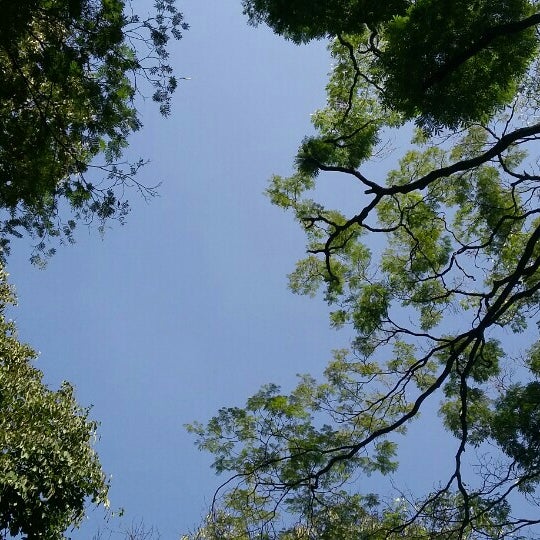 parque-de-la-bailarina-isabel-cristina-restrepo-c-rdenas-park-in-medell-n