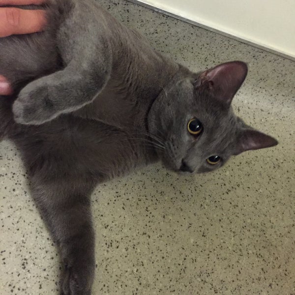 Photos at UCLA Weyburn Terrace Housing Complex Westwood North Village