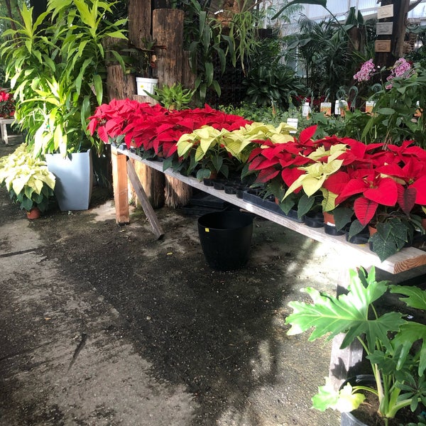 La Crescenta Nursery La Crescenta'da Peyzaj Merkezi