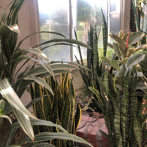 La Crescenta Nursery La Crescenta'da Peyzaj Merkezi