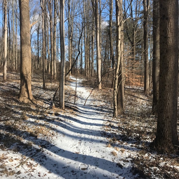 Photos at Cromwell Valley Park - Park