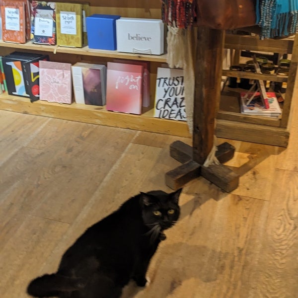 Dolly's Bookstore Bookstore