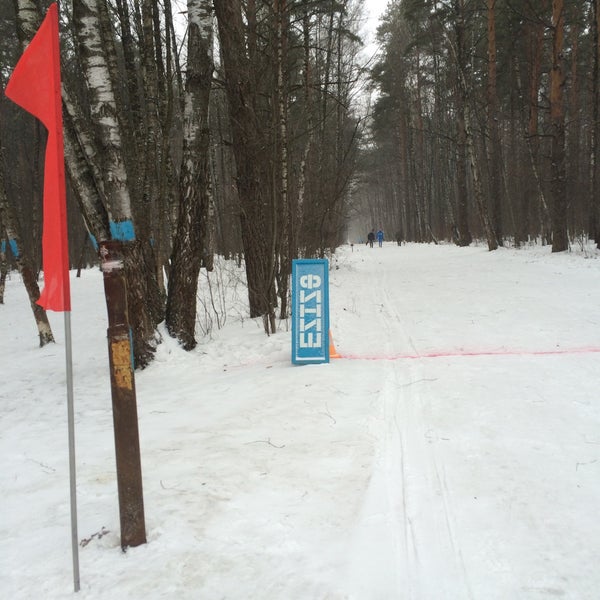 Лыжная база в Шексне