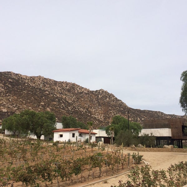 Photo taken at Vinicola Émeve - De los mejores vinos del Valle de Guadalupe by Luis S. on 10/25/2015