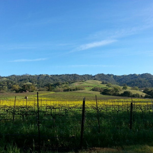 Photo taken at Alexander Valley by Tracy F. on 2/21/2015