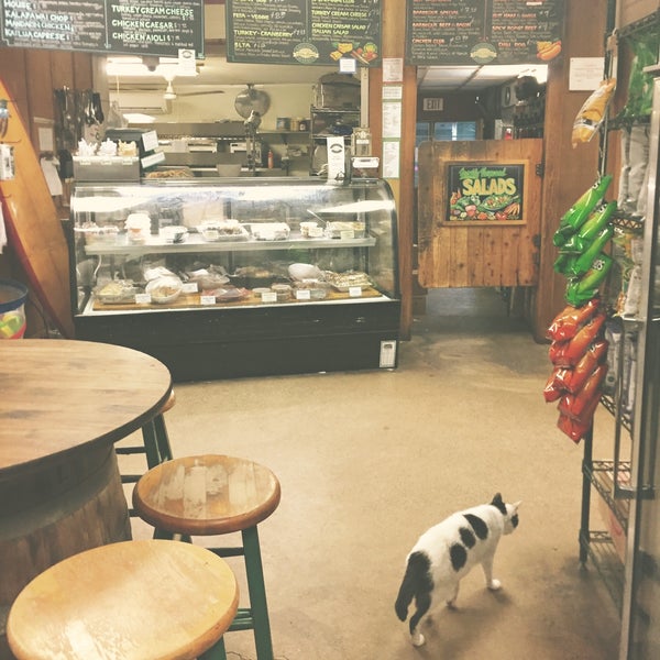 def agree is perfect spot to grab snacks before heading to the beach or sit down for lunch/dinner after, but u'll have the place to yourself if u go on a rainy day (w/the exception of the kitty 🙃)
