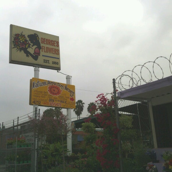 Flowers Los Angeles, CA