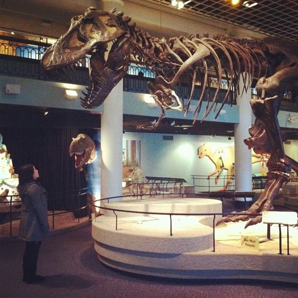 The academy of natural sciences of drexel university logan square
