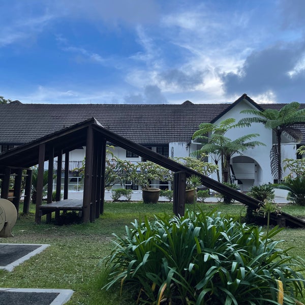 Варяг брянск кафе. Эко парк земляничный гремячки. Эко парк земляничный гремячки. Эко парк земляничный гремячки. Эко парк земляничный гремячки.