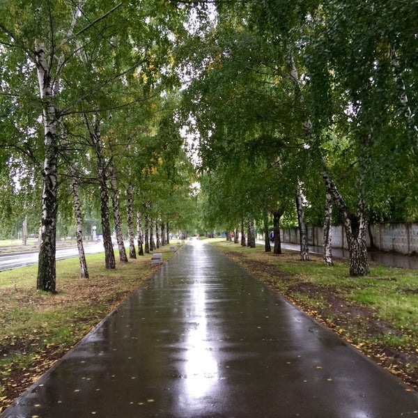 Бульвар 50 лет октября брянск. Брянск 12 лет октября 2 фото. Советская 80 тольятти. Центр семейной стоматологии брянск. Детская больница брянск бежица.