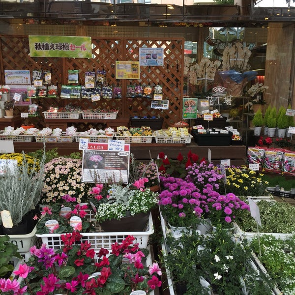 花工場 港北ニュータウン センター南店 Flower Shop In 都筑区