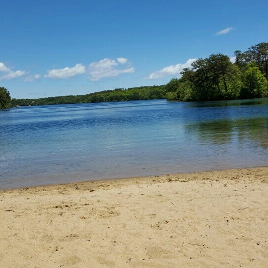 Are Dogs Allowed At Long Pond Beach In Brewster Ma