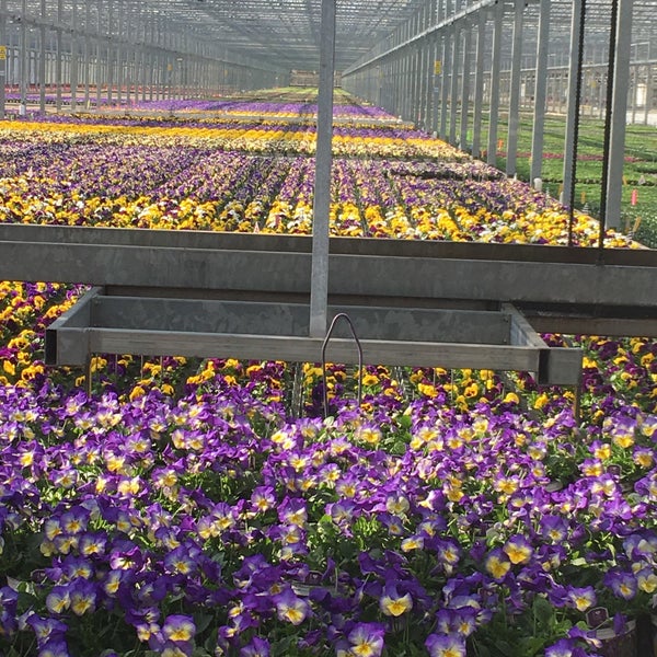 Metrolina Greenhouse