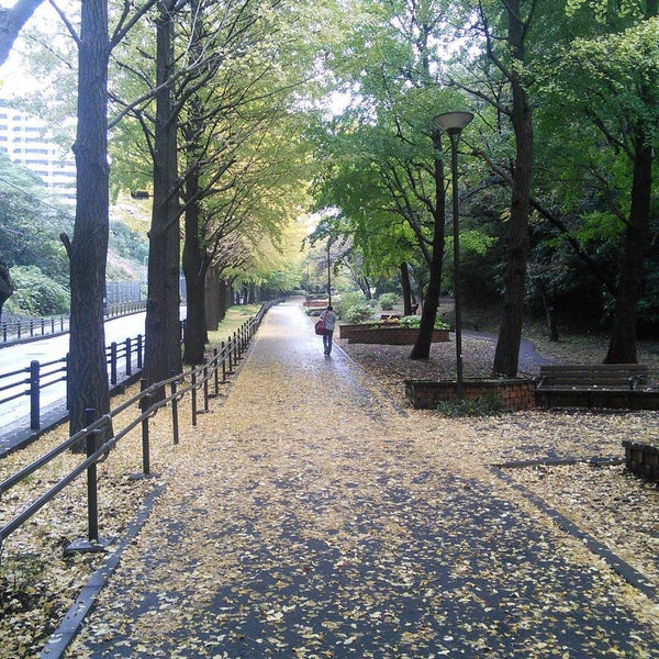 Photos At 保土ヶ谷公園の桜 保土ヶ谷区 35 Visitors