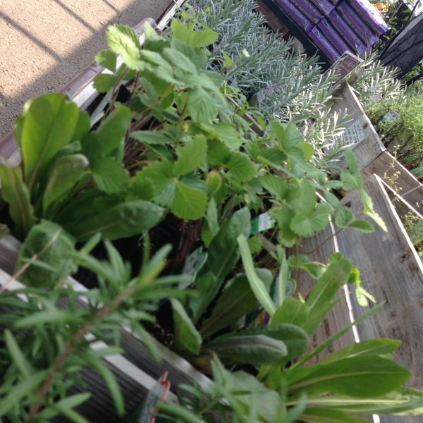 Photos At フラワーガーデン泉 Flower Shop In 前橋市