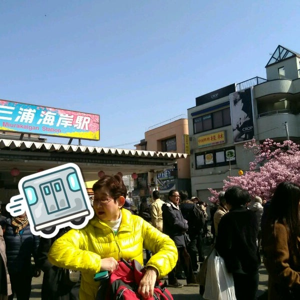 Fotos En 三浦 桜まつり Ahora Cerrado 三浦 0 Tips