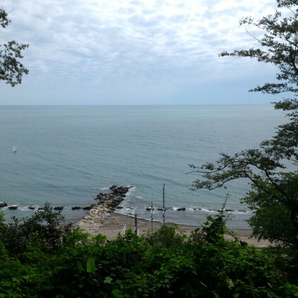 Александр зобнин "сочинское географическое общество". Председатель общества греков геленджик. Сочинское общество. Госпароходство сочинское. Сочинское общество.