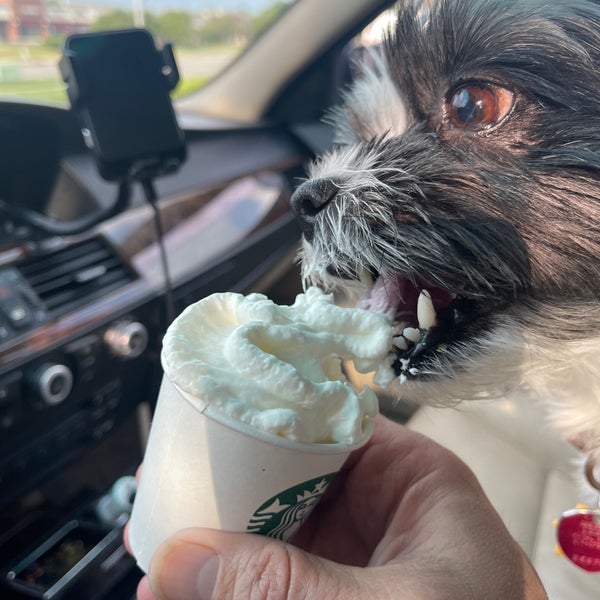 Starbucks Zionsville, IN