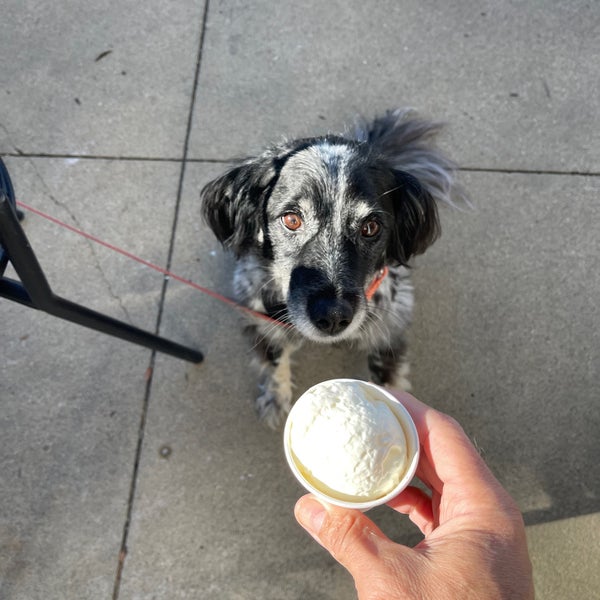 Starbucks Zionsville, IN