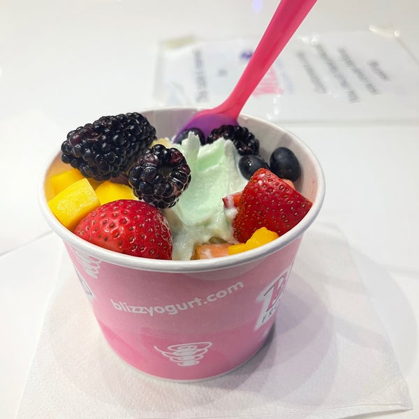 Blizz Frozen Yogurt & Desserts Las Vegas, NV