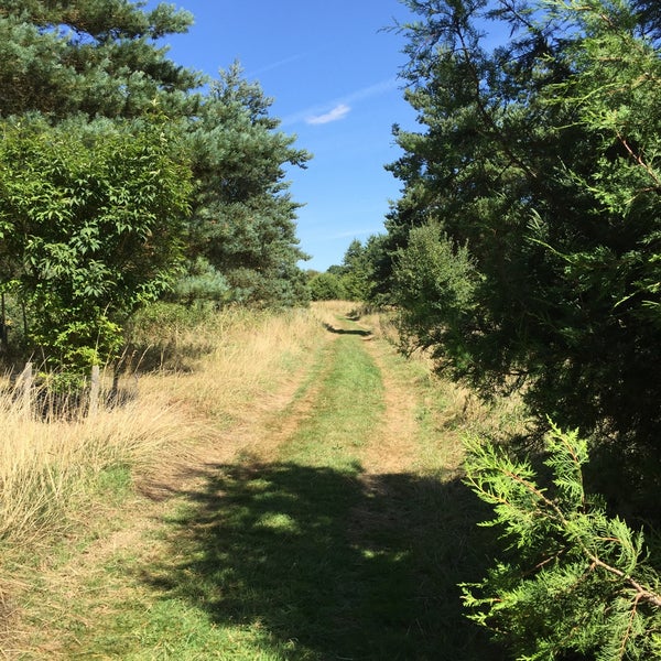 Bedgebury National Trail