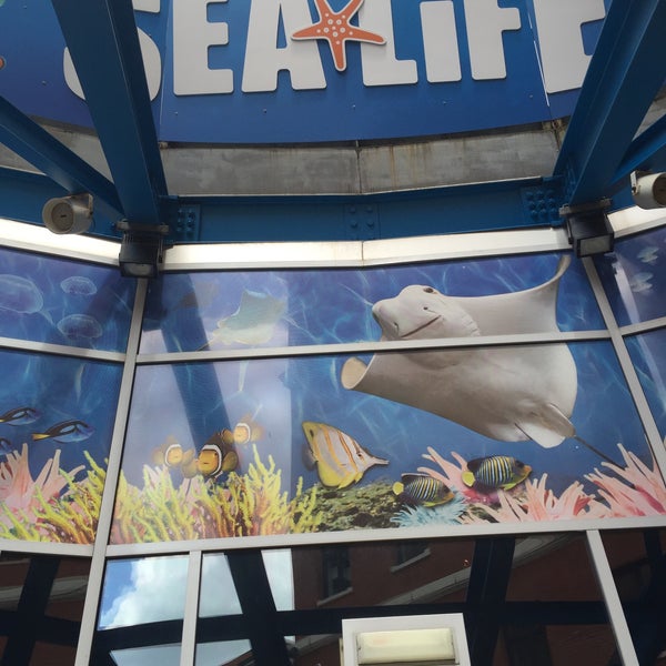 7/8/2016에 Michael T.님이 National Sea Life Centre에서 찍은 사진