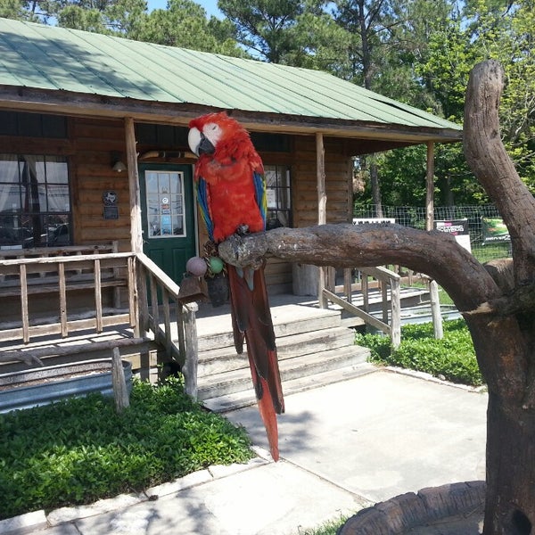 Texas truck sales Dickinson, TX