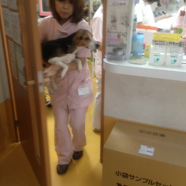 Fotos En 豪徳寺なみき動物診療所 26 Visitantes