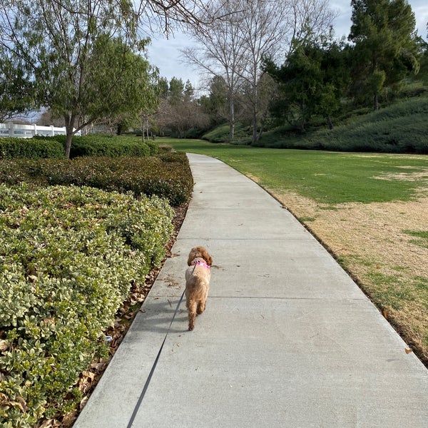 Are Dogs Allowed At Birdsall Park In Temecula