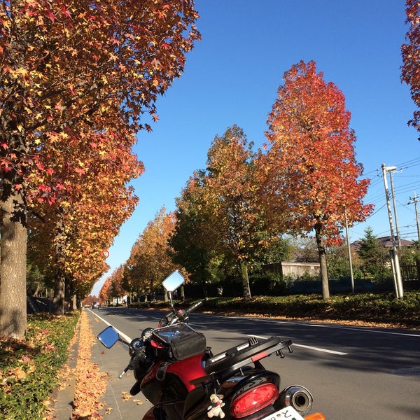 Photos At 飯能市立美杉台中学校 Middle School In 飯能市