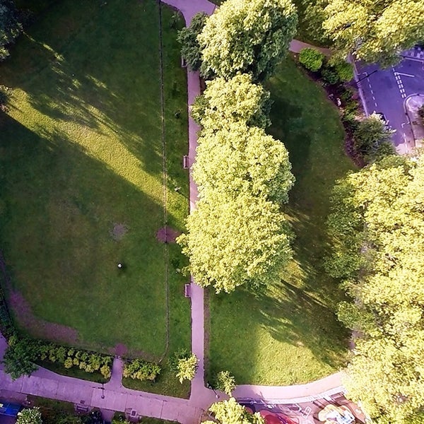 Fortuna green. , royal aurel. Тарелка глубокая фортуна. Fortuna green. Роял аурель фортуна фарфор.