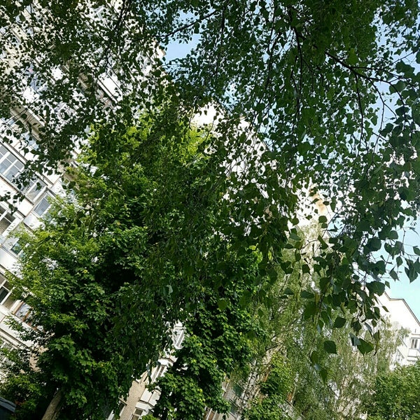 аптека планета здоровья на розы люксембург. розы люксембург 80. татагропромбанк. нижние серги улица розы люксембург магазин дуэт. розы люксембург 80в киров.