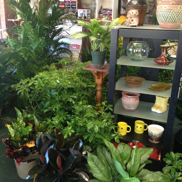 Flowers In New Iberia La Best Flower Site