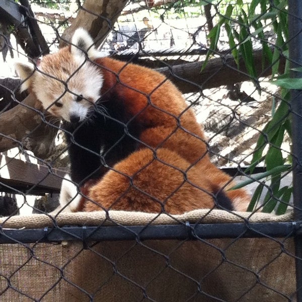 Foto scattata a Brandywine Zoo da Aly B. il 9/23/2014
