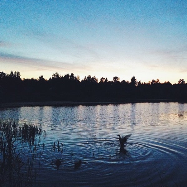 Лебяжий луг иваново карта