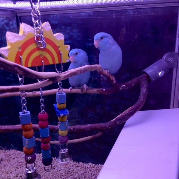 Pet Pantry Warehouse (Now Closed) Pet Supplies Store in Greenwich